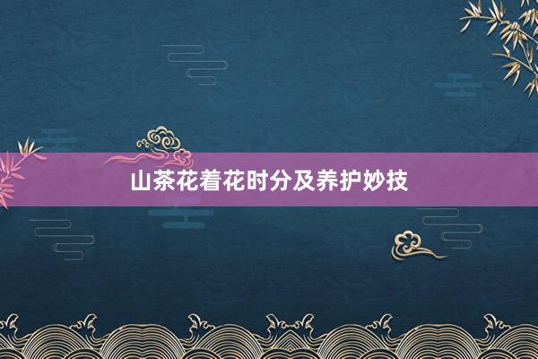 山茶花着花时分及养护妙技