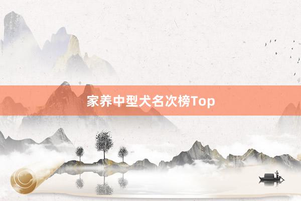 家养中型犬名次榜Top