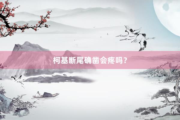 柯基断尾确凿会疼吗？