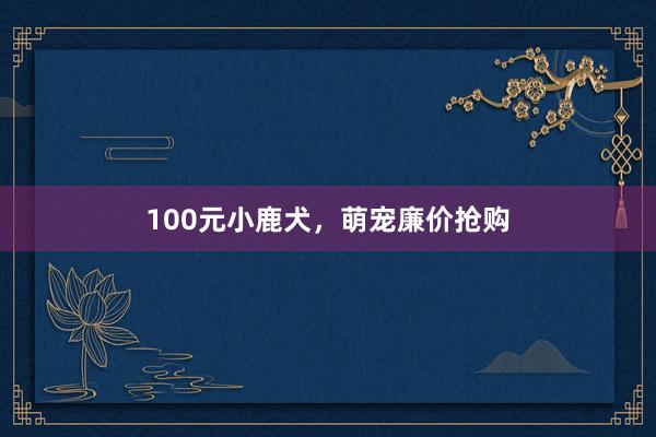 100元小鹿犬,萌宠廉价抢购
